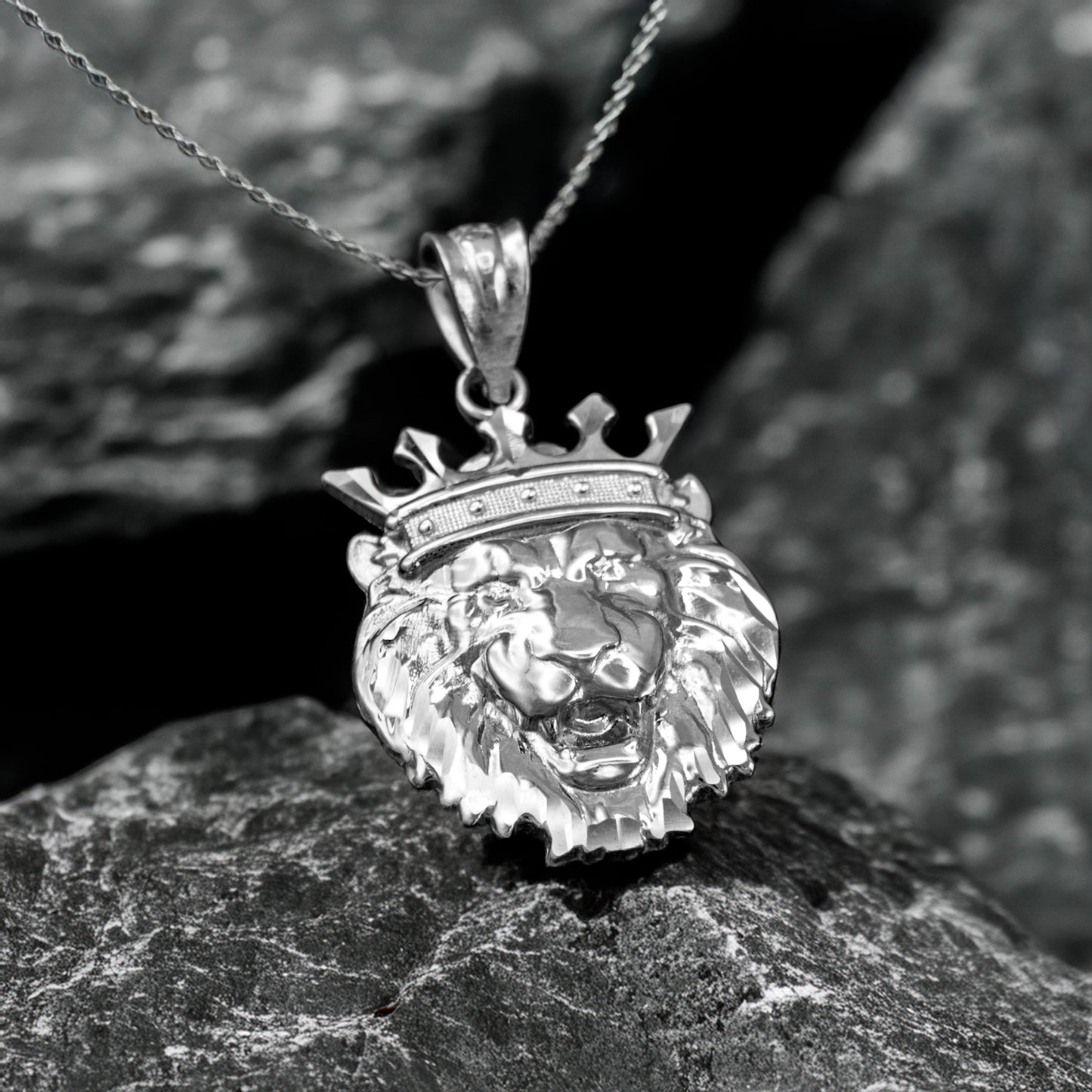 Sterling Silver Lion King DC Charm Necklace