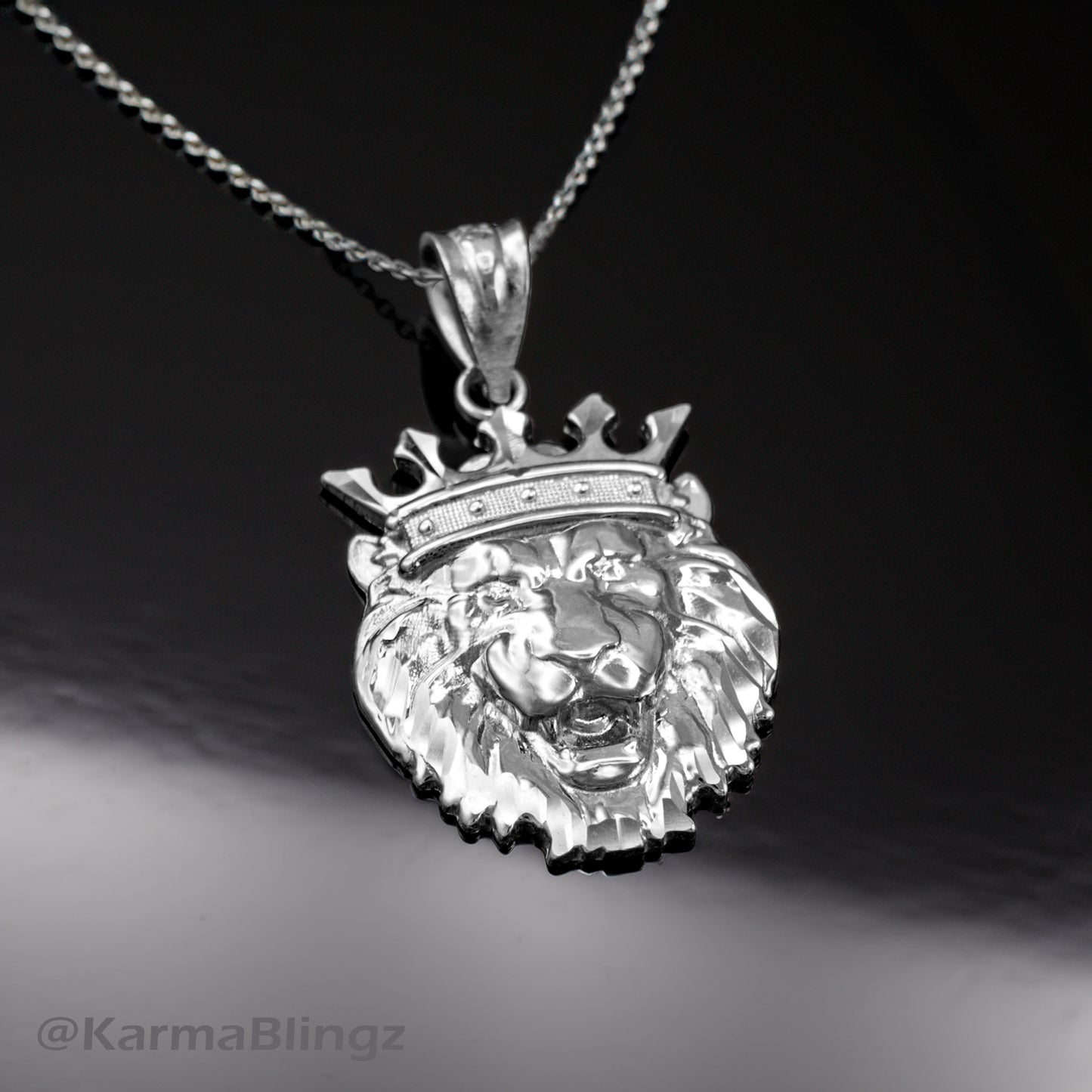 Sterling Silver Lion King DC Charm Necklace