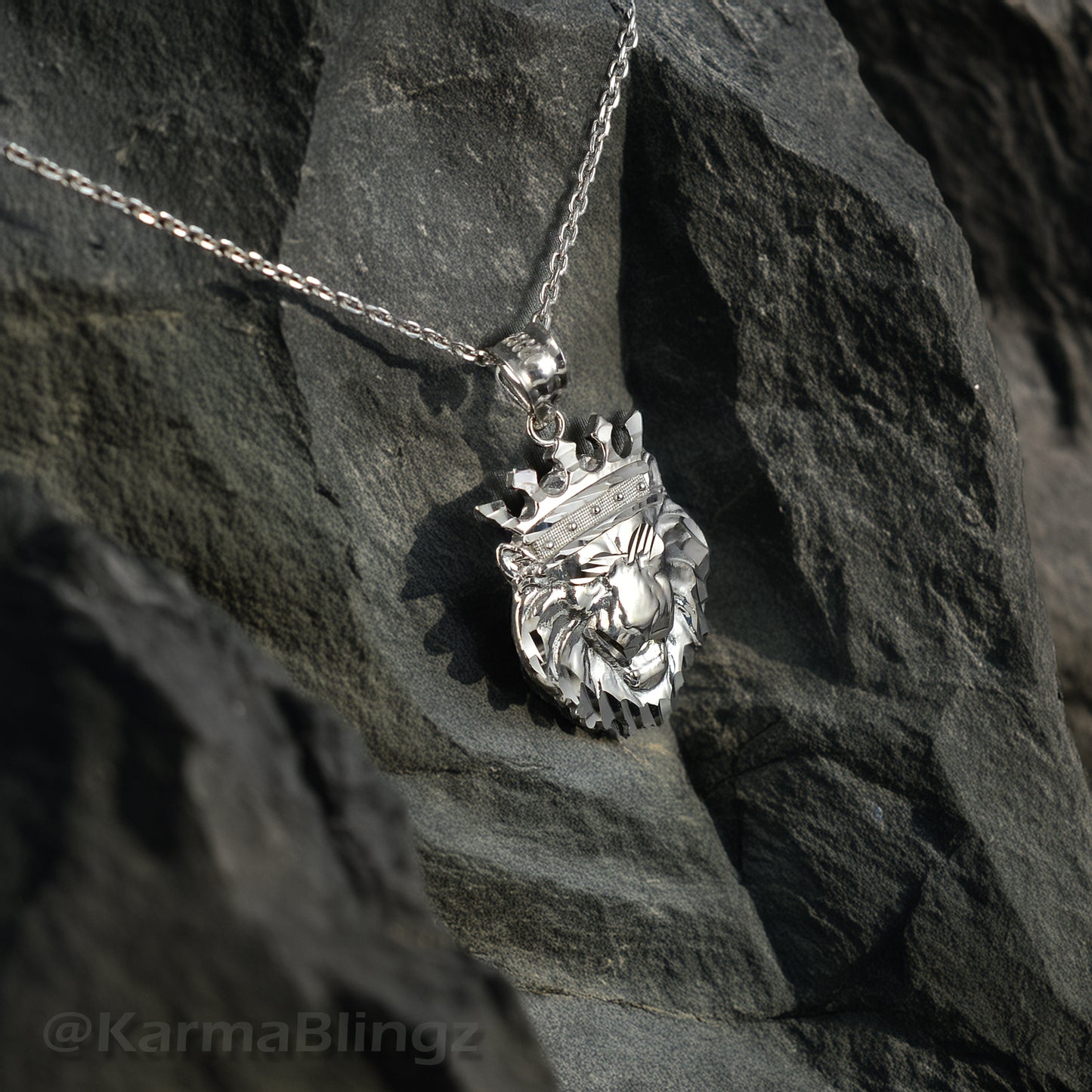 Sterling Silver Lion King DC Charm Necklace