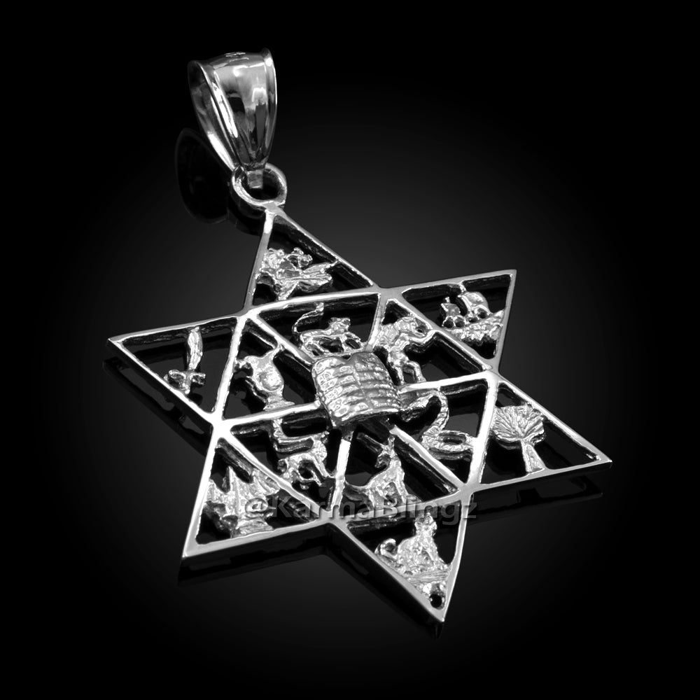 Gold Star of David Twelve 12 Tribes of Israel Jewish Pendant (yellow, white, rose gold, 10k, 14k) Karma Blingz
