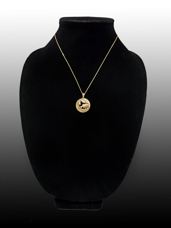 Gold Aquarius Zodiac Sign Medallion Pendant Necklace (yellow, white, rose, 10K, 14K) Karma Blingz