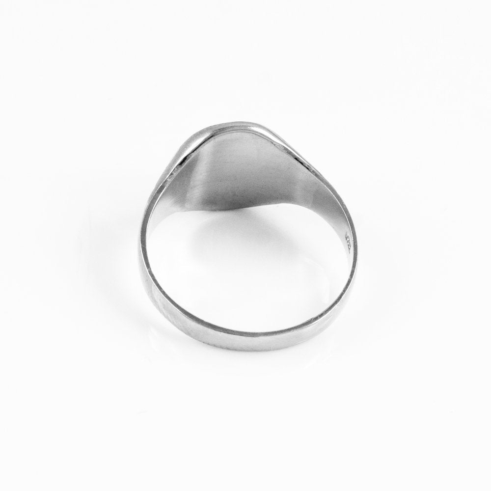 Sterling Silver Capricorn Satin DC Ladies Zodiac Sign Ring Karma Blingz