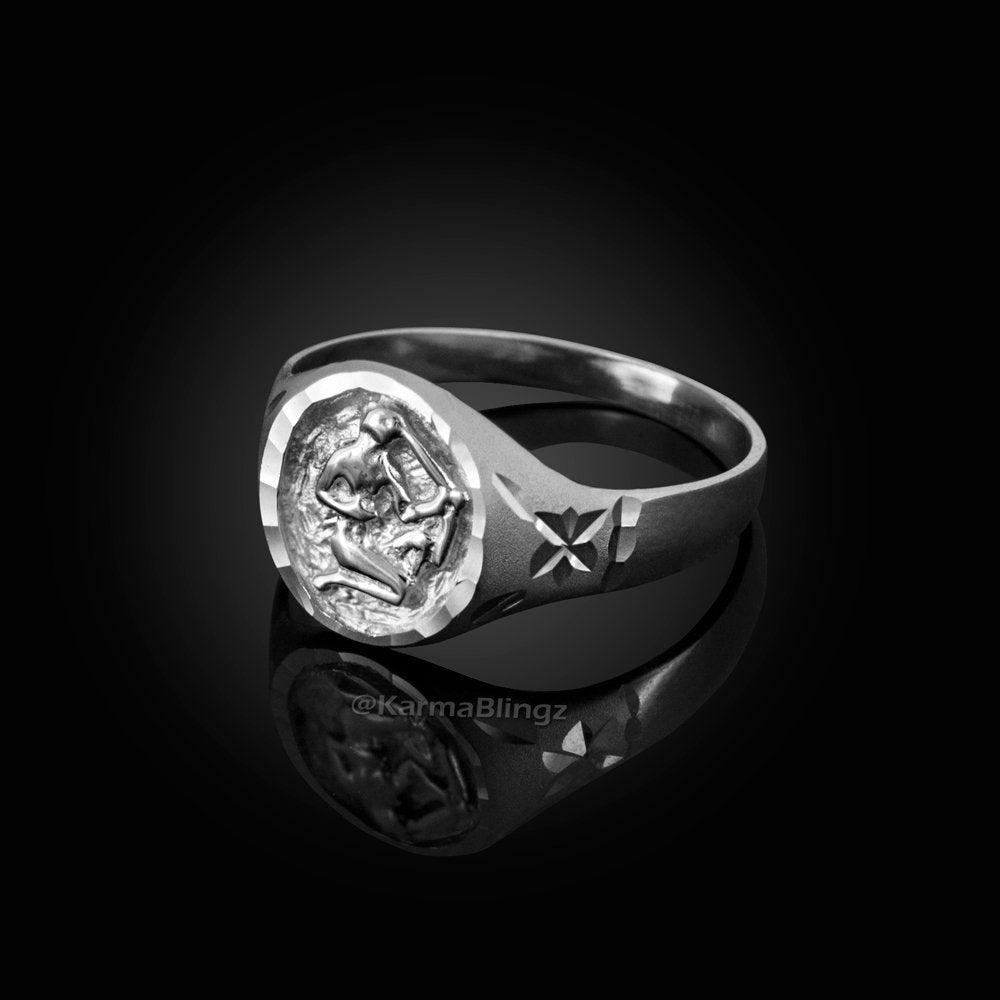 Sterling Silver Sagittarius Satin DC Ladies Zodiac Sign Ring Karma Blingz