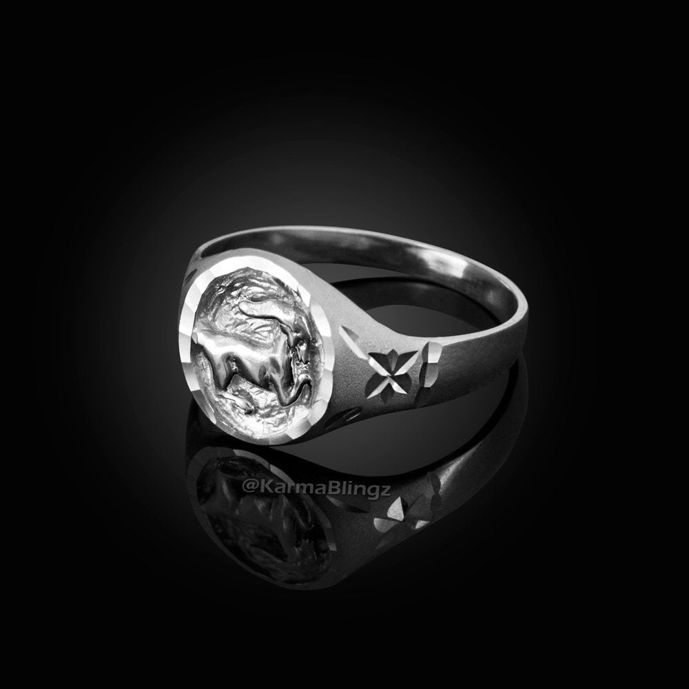 Sterling Silver Capricorn Satin DC Ladies Zodiac Sign Ring Karma Blingz