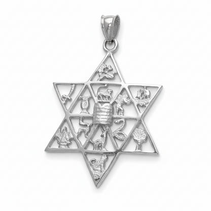 Sterling Silver Star of David 12 Twelve Tribes of Israel Pendant Karma Blingz