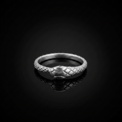Sterling Silver Ouroboros Snake Black Diamond Ring Band