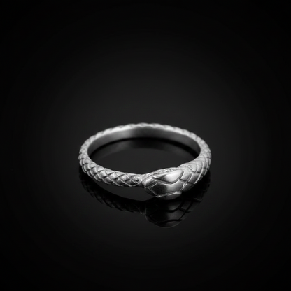 Sterling Silver Ouroboros Snake Ruby Ring