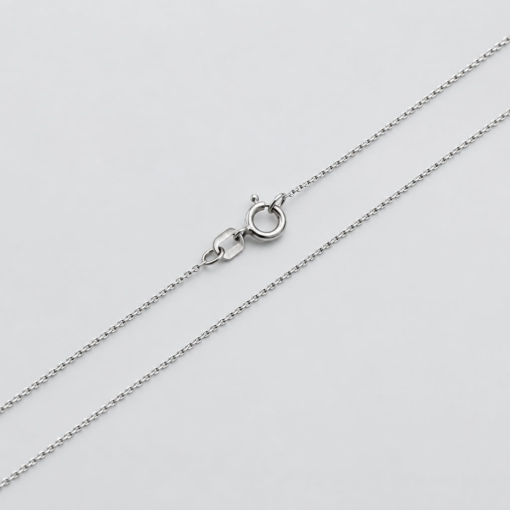 Silver chain necklace with a clasp on a white background
