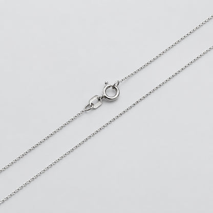 Silver chain necklace with a clasp on a white background
