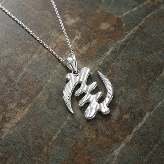Sterling Silver African Adinkra Gye Nyame DC Pendant Necklace