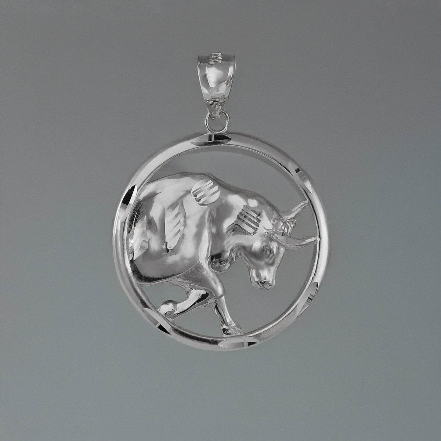 Sterling Silver Zodiac Sign Pendant Necklace Round Diamond-Cut Design 12 Astrology Signs