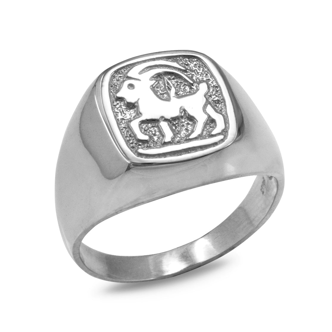 Silver ring with zodiac sign on a white background