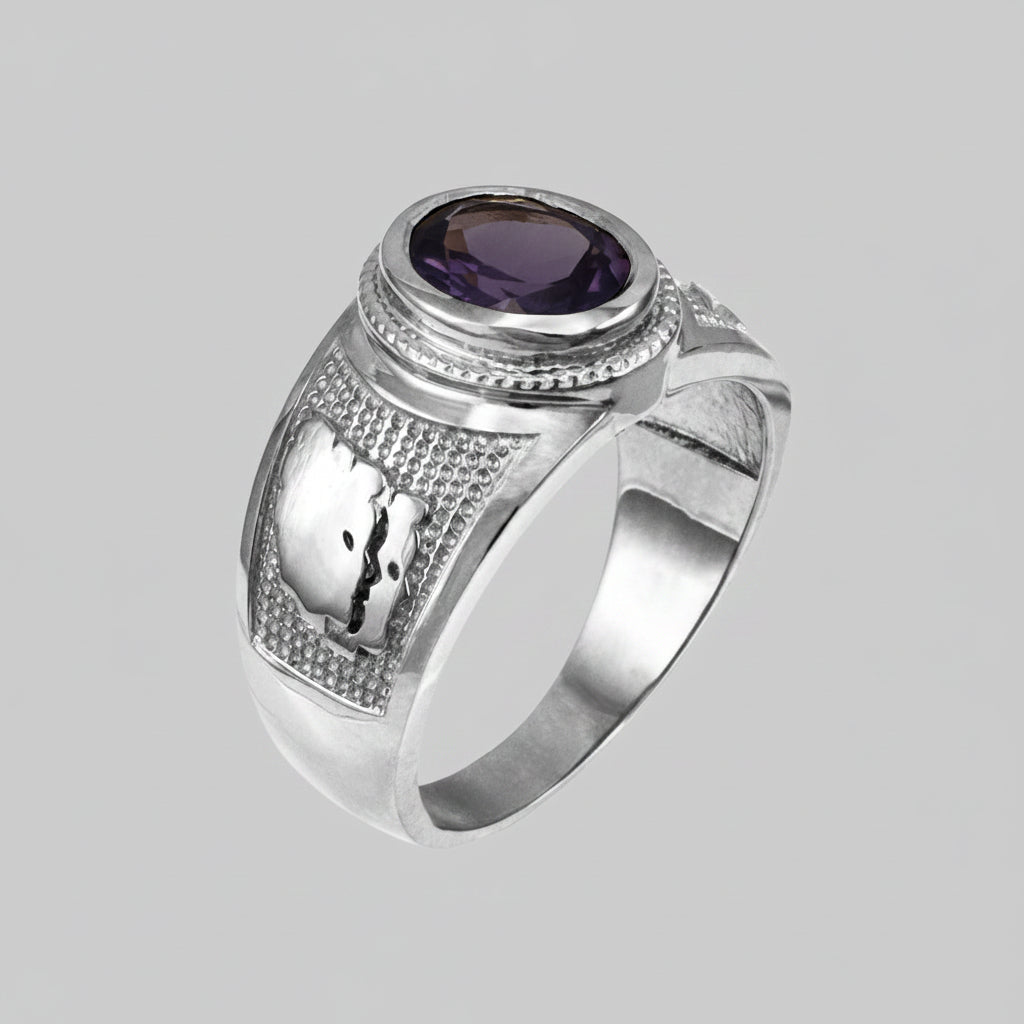 Sterling Silver Zodiac Sign Birthstone CZ Ring 12 Astrology Signs Oval Color Cubic Zirconia