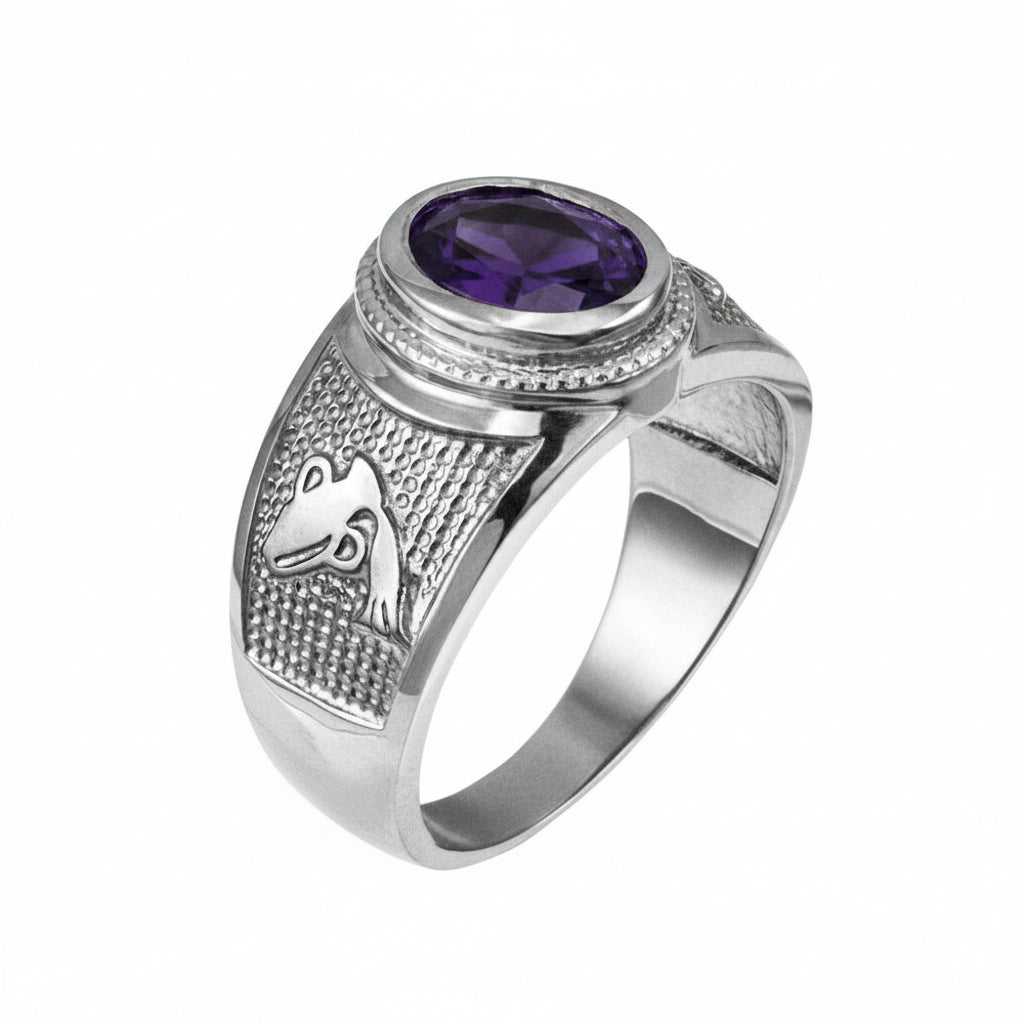 Sterling Silver Zodiac Sign Birthstone CZ Ring 12 Astrology Signs Oval Color Cubic Zirconia