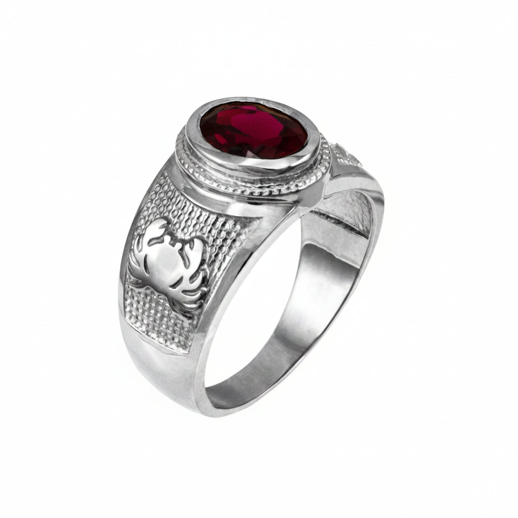 Sterling Silver Zodiac Sign Birthstone CZ Ring 12 Astrology Signs Oval Color Cubic Zirconia