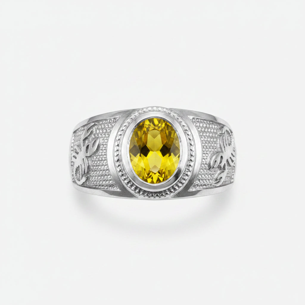 Sterling Silver Zodiac Sign Birthstone CZ Ring 12 Astrology Signs Oval Color Cubic Zirconia