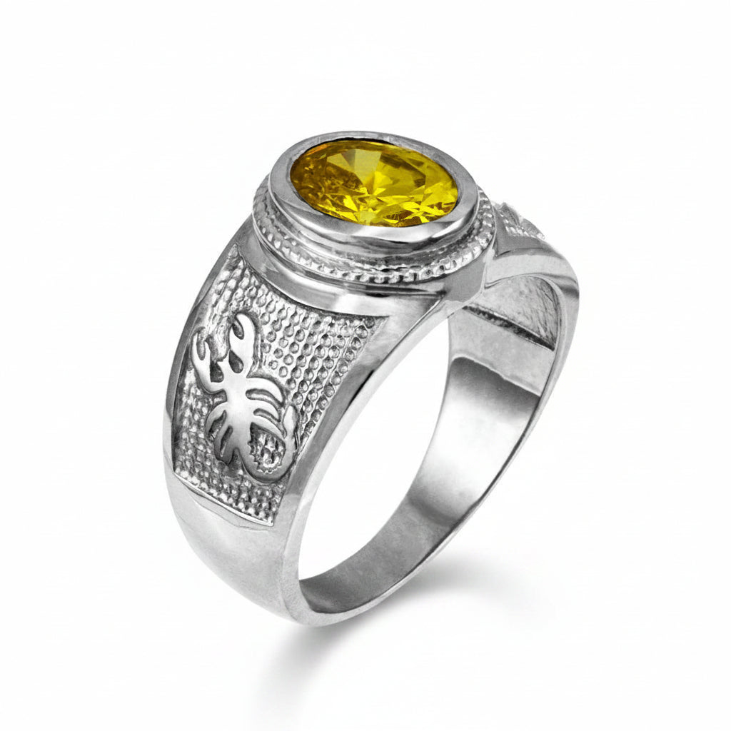 Sterling Silver Zodiac Sign Birthstone CZ Ring 12 Astrology Signs Oval Color Cubic Zirconia