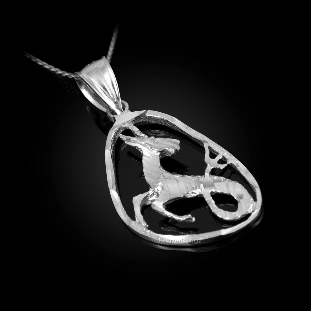 Sterling Silver Capricorn Zodiac Sign DC Pendant Necklace | Karma Blingz