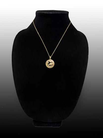 Gold Aquarius Zodiac Sign Medallion Pendant Necklace (yellow, white, rose, 10K, 14K) Karma Blingz