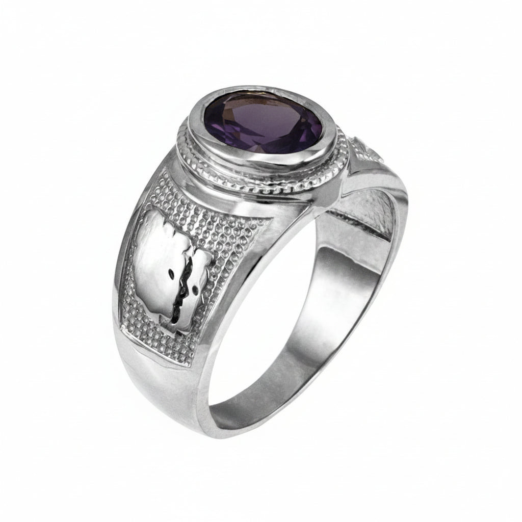 Sterling Silver Gemini Zodiac Sign June Birthstone Violet CZ Ring Karma Blingz