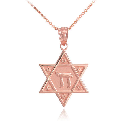 Gold Star of David Chai Pendant Necklace (yellow, white, rose gold, 10k, 14k) Karma Blingz