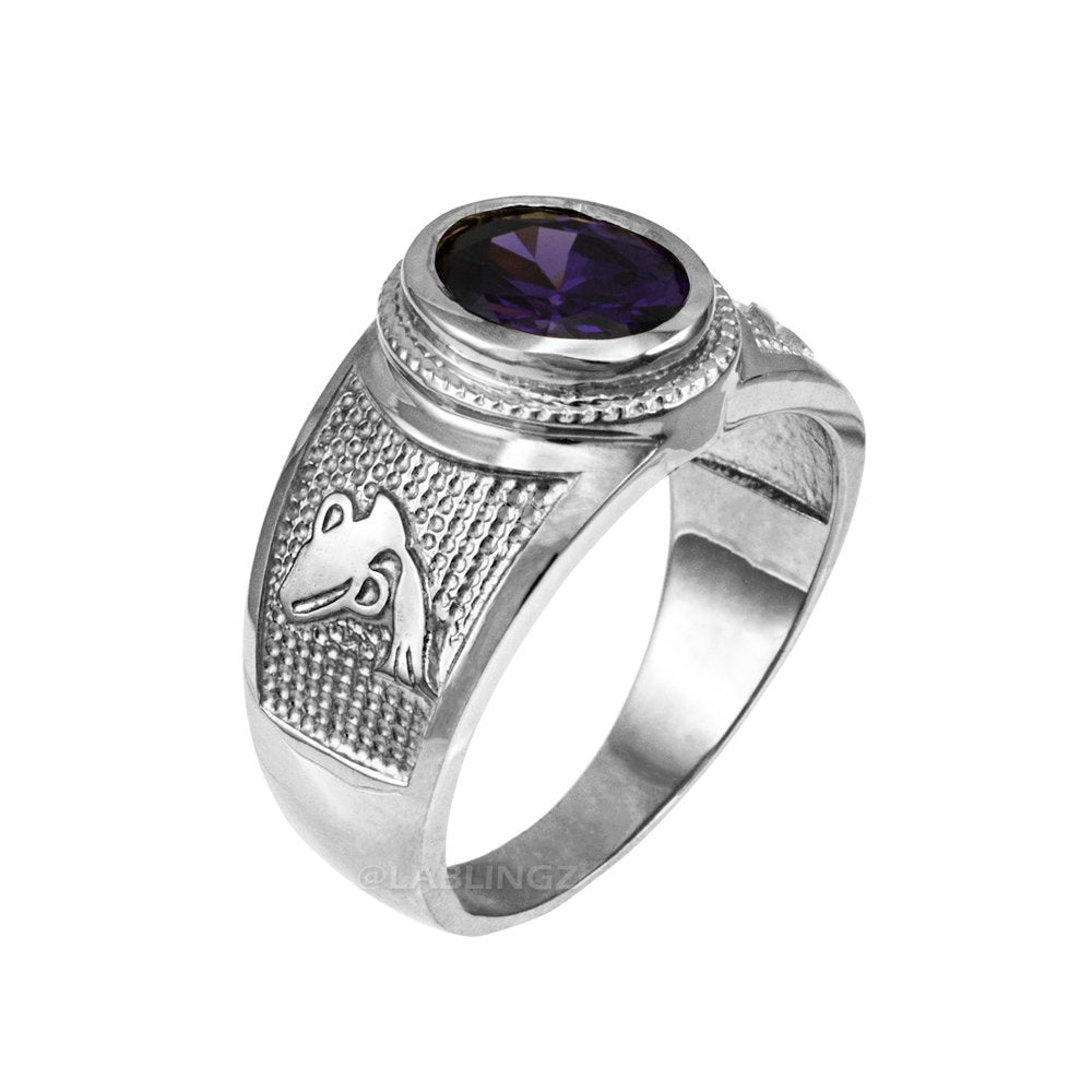 Sterling Silver Aquarius Zodiac Sign February Birthstone Purple CZ Ring Karma Blingz