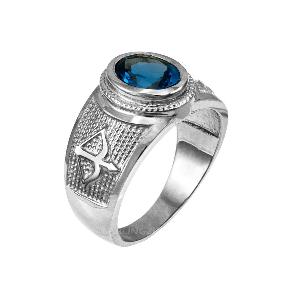 Sterling Silver Sagittarius Zodiac Sign December Birthstone Blue CZ Ring Karma Blingz
